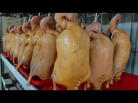 Chinese steamed pancakes Roast Duck Wrappers Making Skills /一鴨三吃港式塩酥脆皮烤鴨,荷葉薄餅製作技巧-Taiwan Street Food