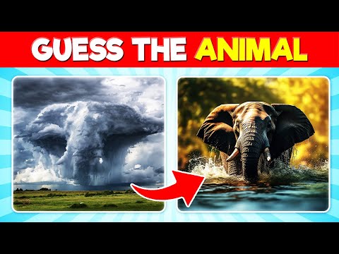 Guess the Animal by Optical Illusion