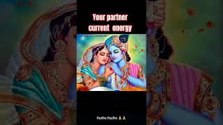 your partner current energy 💕💞💞💞💞