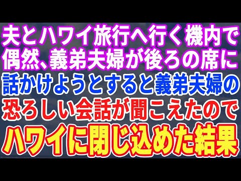 【スカッとする話】夫とハワイ旅行へ行く機内。後ろの席に偶然、義弟夫婦が…。話かけようとすると、私たち夫婦について話していて…その内容が恐ろしすぎて帰って来れぬ様ハワイに閉じ込めてやった結果【修羅場】