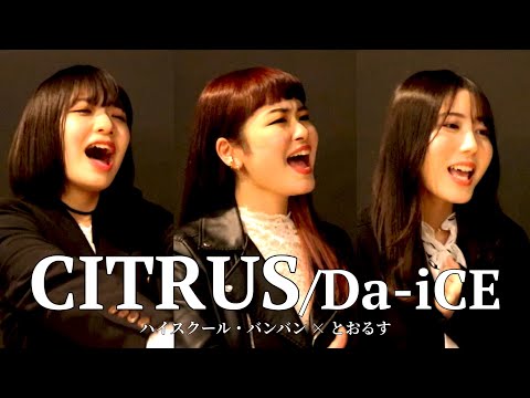 【コラボ】CITRUS / Da-iCE【ハイスクール・バンバンの女性陣とアカペラ】