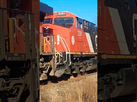 TRAIN WITH FRESH PAINTED CN AND BONNET NOTCHES UP! #railroad #bnsfrailroad #railway