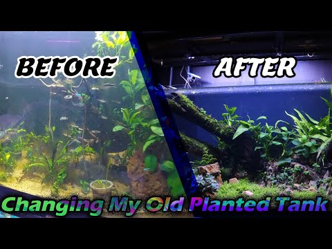 Changing My Old Planted Tank - planted tank for beginners - easy planted tank - aquascaping