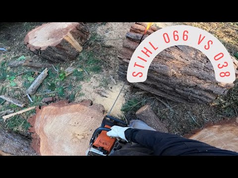 Stihl MS660 Magnum vs 038 Magnum:  Test run on some pine #amateurhour