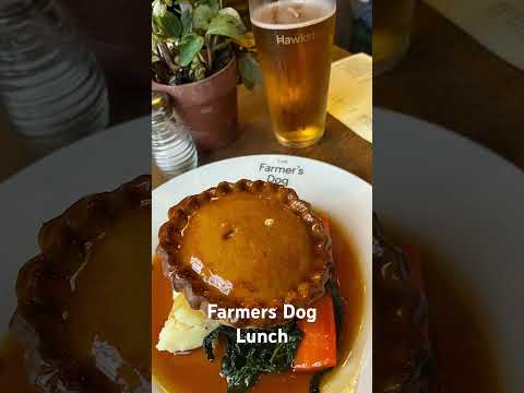 Lunch at the farmers dog fabulous food and Hawkstone cider 🍺 #youtubetraveler #travel