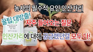 인산가리 QnA  #BBT #피프티 #꽃게아미노 #organic #논산시#친환경 #farming  #인 #해충  #그린팩 #농마트 #인산가리 #칼륨 #가리 #Qna #농사 #농마트