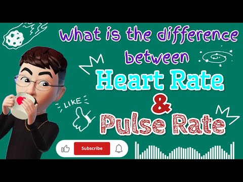 Heart Rate vs Pulse Rate: Breaking Down the Differences 🤔