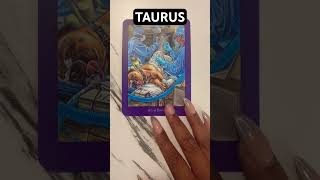 Fun…. #tarot #taureangoddess  #twinflame #tauruscollective #fortuneteller #taurusenergy #taurus