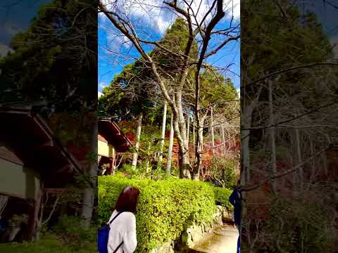 京都三千院