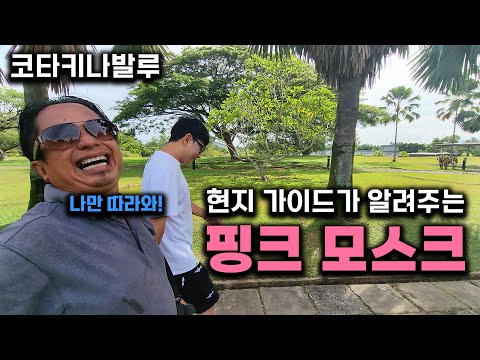 코타키나발루 시내투어 생각한다면 필수가이드, 핑크모스크 『코타키나발루 여행』