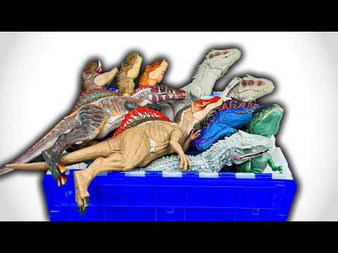 HUGE Haul Of The MOST POPULAR Dinosaurs: April 2024 | T-Rex, I-Rex, Giganotosaurus & More!