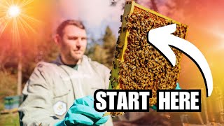 How To Start Beekeeping In 2025