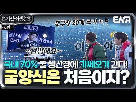 축구장 20개 크기의 양식장? ⚽ 3시간 자며 일하는 최대 규모의 굴 양식장에 기쎄오가 간다! 🏃🏻‍♂️ #기안이쎄오 EP.06