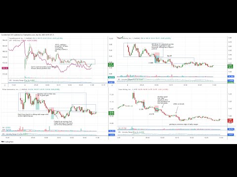 Stock Day Trading Review March  3 & 4,  2025 (what I liked and didn't like about how I traded)