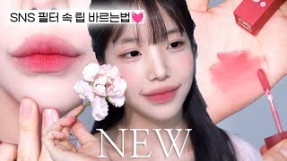 바닐라코X쩡유틴트 new컬러♥실패없는 립조합+한정마켓공지