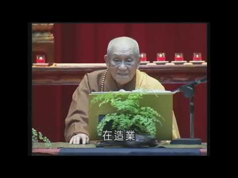 【夢參法師講占察善惡業報經】唯心識觀。1080p