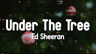 Ed Sheeran - Under the Tree (from “That Christmas”) (Lyrics Video)