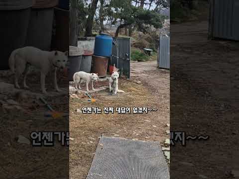 [불꺼진 방] 이별없는 세상은 없다 #이별연습#부모동행 #시골살이#스포티지