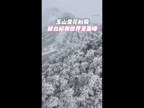 #玉山 雪花紛飛 銀白絕美世界畫面曝 #Shorts