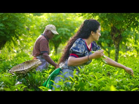 Ceylon Tea Recipe (Homemade Tea) | World Famous Sri Lankan Secret! | Poorna - The nature girl