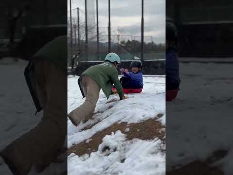 ソリ遊びも少しずつおもしろくなってきた4歳児　豊平どんぐり村雪遊び20241230