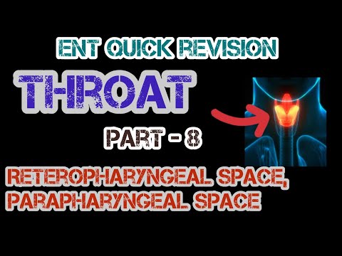 Understanding Neck Anatomy: RetroPharyngeal vs. ParaPharyngeal Spaces | Dr. Deen