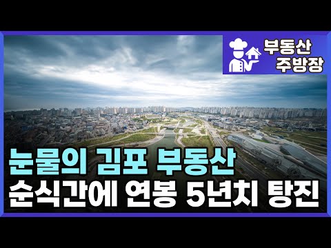 화가나도 방법이 없는 끝없는 김포 집값 추락. 눈물맺힌 김포 집주인들. (부동산 가격 집값 전망 상승 하락 폭락)