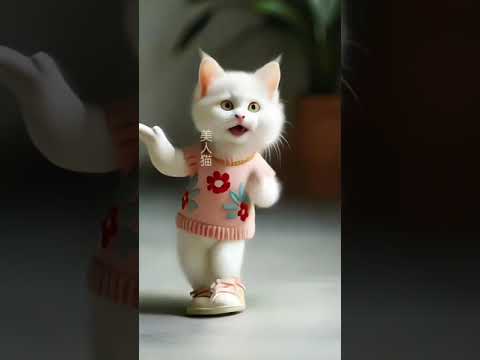 #Ep312 ❤😻🐾Cute kitten #cat #lovecats #cats #catvideos #kittens #catlover #princesscat #kitten