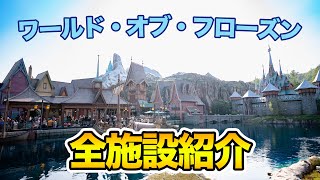 ワールド・オブ・フローズンの全て / 香港ディズニーランド : All about World of Frozen / Hong Kong Disneyland