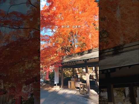 語り継がれる天狗伝説、日本八天狗の一狗が祀られるお寺