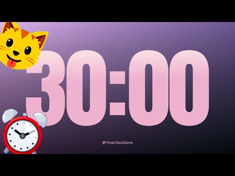 30 Minute Timer Countdown