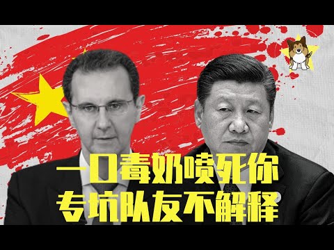 叙利亚独裁政权倒台，是被中国国师们和CCTV奶死的！【狗哥特别经典】