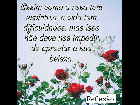 Mensagem de Reflexão 🌹