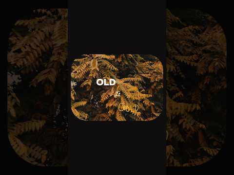 OLD IS GOLD INSTAGRAM TRENDING AESTHETIC REEL EDITING ❤️‍🩹 #instagram #trending #capcut #edit