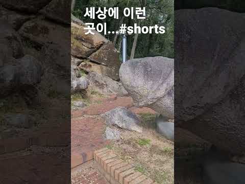 난향로원 #shorts