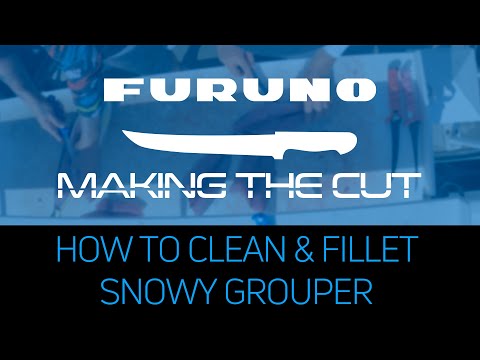 Making the Cut: How to Clean and Fillet Snowy Grouper