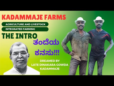 KADAMMAJE FARMS | Integrated farm ideas | ಸಮಗ್ರ ಕೃಷಿಯಲ್ಲಿ ನಡೆದುಬಂದ ಹಾದಿ #organicfarming #ನಾಟಿಕೋಳಿ