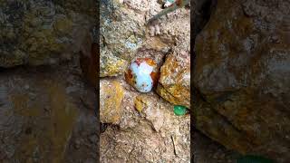 Full video on homepage#gems  #agate#crystal#gold#Gems#diamonds#gold mines#emeralds #pearl