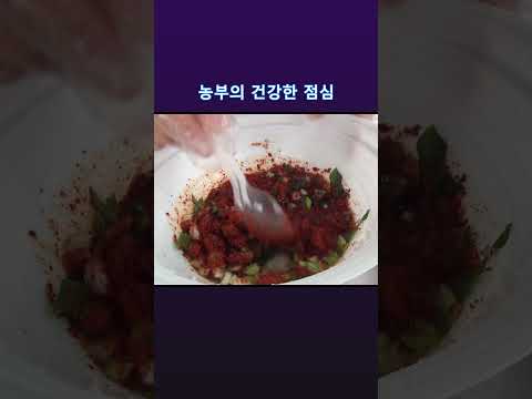 따라할 수 없는 농부의 건강한 점심 #shorts