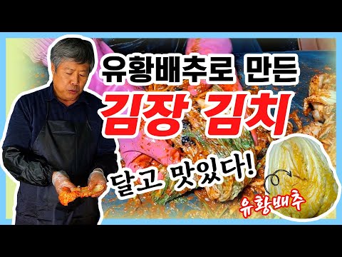 유황배추로 김장김치 담아봤습니다. 맛이 확실히 다르네요