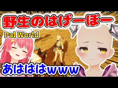 みこちとホロメンの爆笑パルワールド ここ好き【ホロライブ切り抜き/さくらみこ/ロボ子さん/博衣こより】