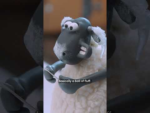 Shaun the Sheep x Barbour 2024 - Live Action! #shaunthesheep #behindthescene #barbourchristmas