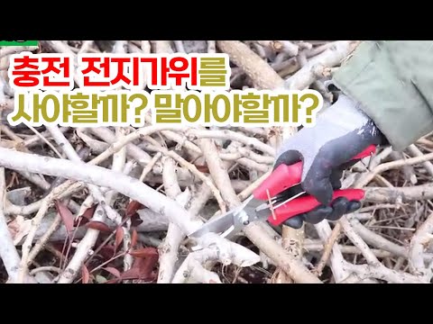 아직도 수동 전지가위 쓰세요? 충전 자동 가위 그냥 드리겠습니다.