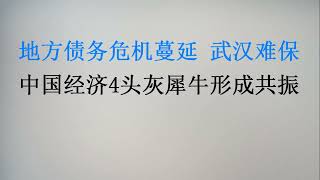 5万亿特别国债怎么回事？地方债务危机蔓延，武汉财政保卫战打响！中国经济4头灰犀牛形成共振！(20230528第1048期)