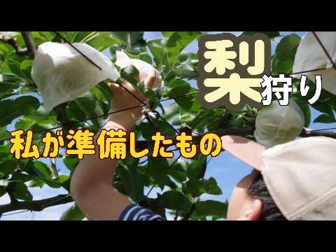 果実狩り食べ放題【梨狩り】山之上果樹園/岐阜県Eat lots of seasonal fruits