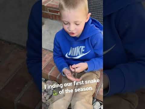 Do you love catching snakes like I do? Finding snakes is so much fun!