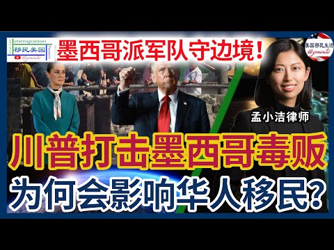 非法移民和毒品从墨西哥流入美国，川普发出制裁威胁后，墨西哥两天就怂了！派军队驻守边境，阻非法移民、抓毒贩！川普制裁墨西哥毒贩集团，为什么让这些华人办理移民受到影响? | 移民美国