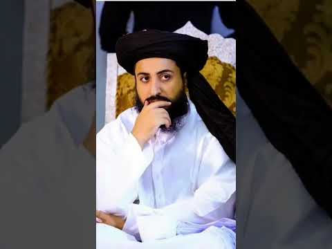 Allama Saad Hussain Rizvi new pic #foryou #tranding #shots #tlp #sbtlp