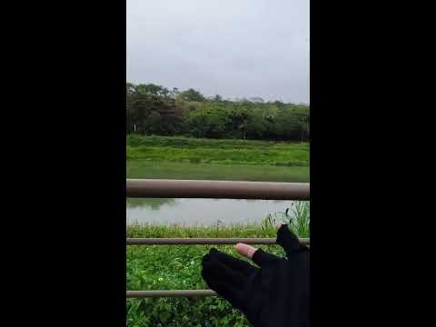 1/15🔴上班前~高雄下雨又冷•買到早餐 撐傘直播？！~原住民搞笑記者 即時直播！😁😸 快進來唷~ #台灣 #高雄 #直播  #警察 #柯文哲  🇹🇼🎬