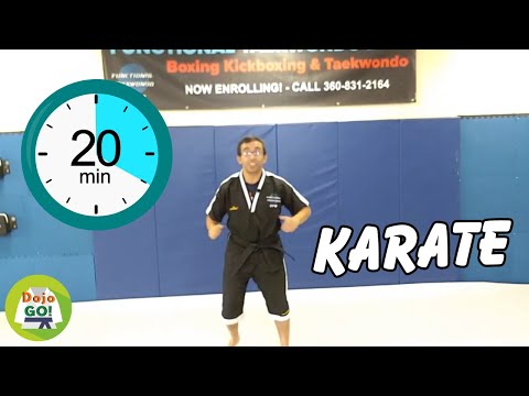 20 Min Karate Lesson For Kids | Push-Kick | Dojo Go